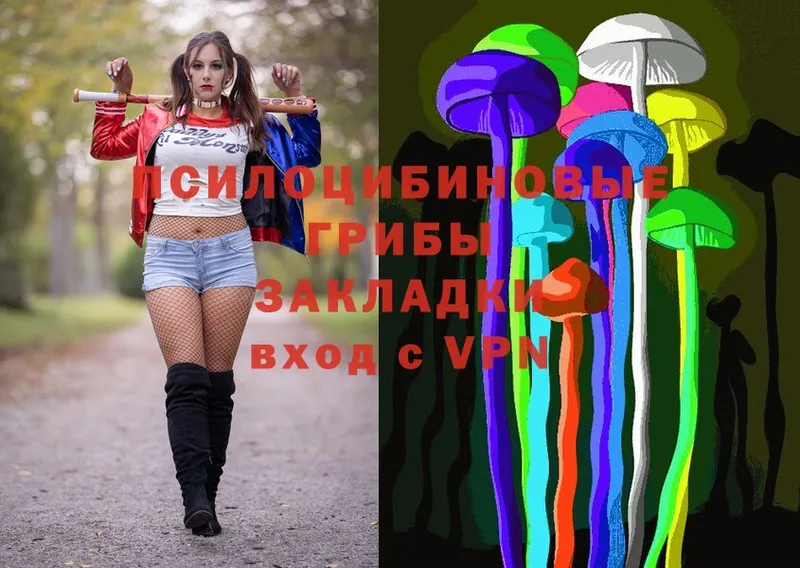 Псилоцибиновые грибы Magic Shrooms  наркошоп  Борисоглебск 